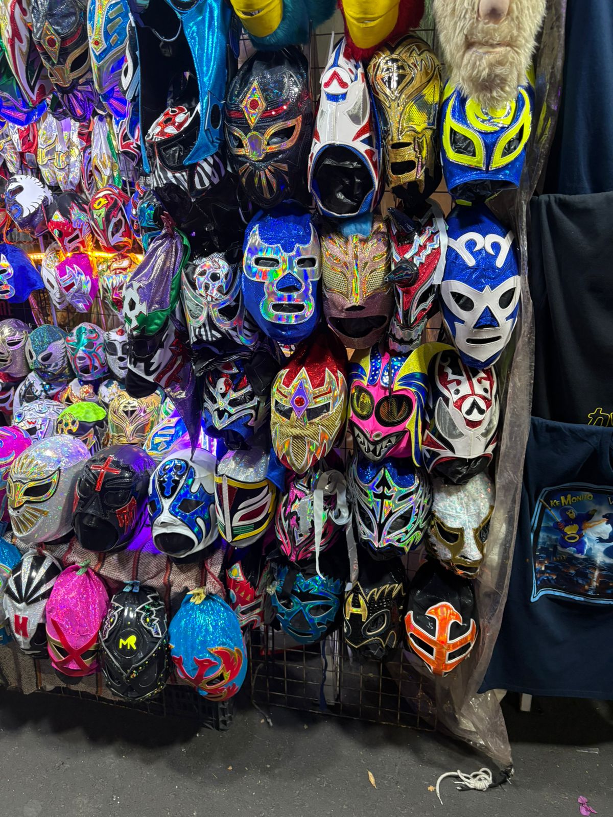 Galería 5 - Garibaldi